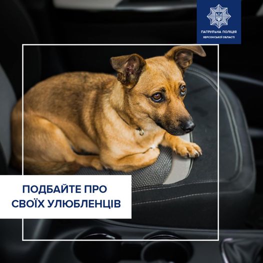 Друзі, на вулиці вже спекотно тож не залишайте своїх домашніх улюбленців в зачин