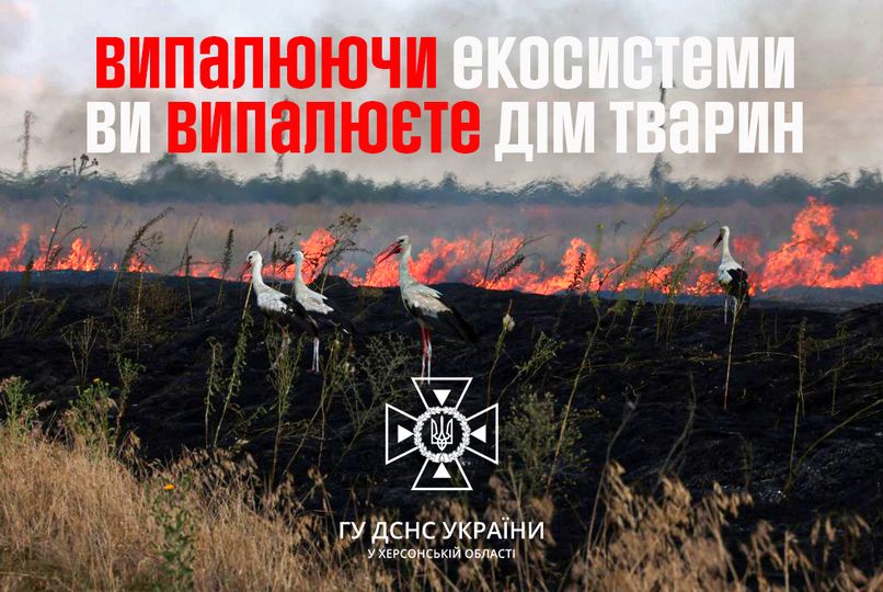 За перший квартал 2024 року на деокупованій частині Херсонщини виникло 26 пожеж на відкритих територ
