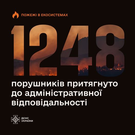 Понад 10 тис. пожеж у природних екосистемах і на відкритих територіях

Саме стільки займань зафіксов