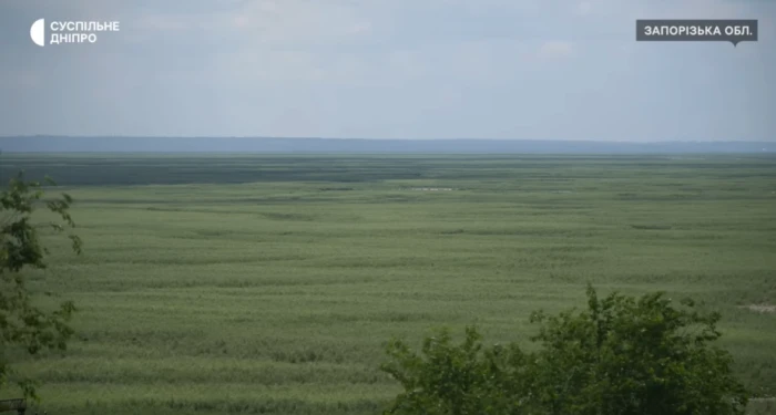 Місце, де було Каховське водосховище, рік після підриву