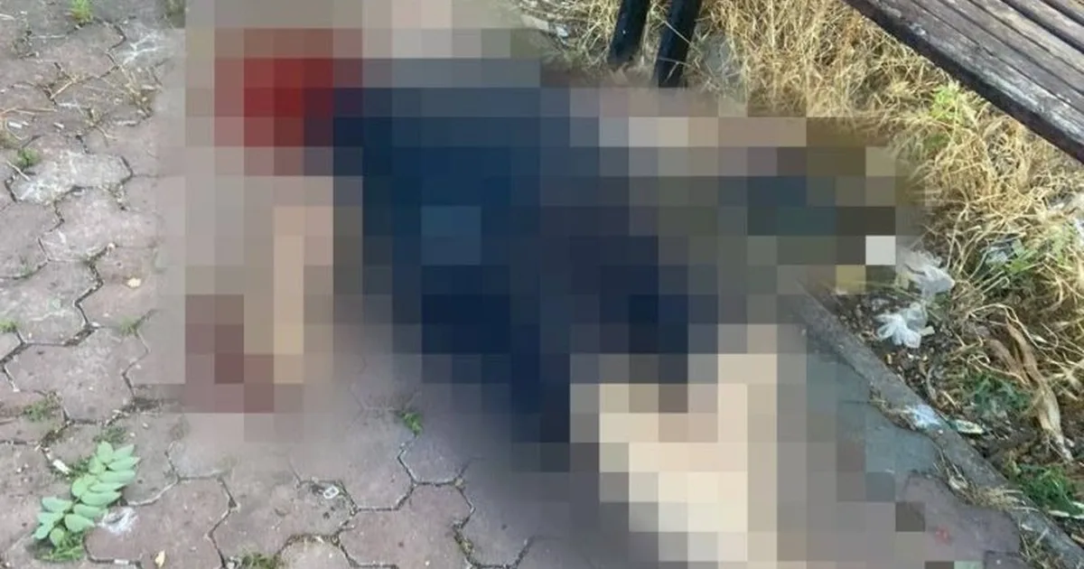 У Херсоні внаслідок обстрілу російських окупантів загинула людина
