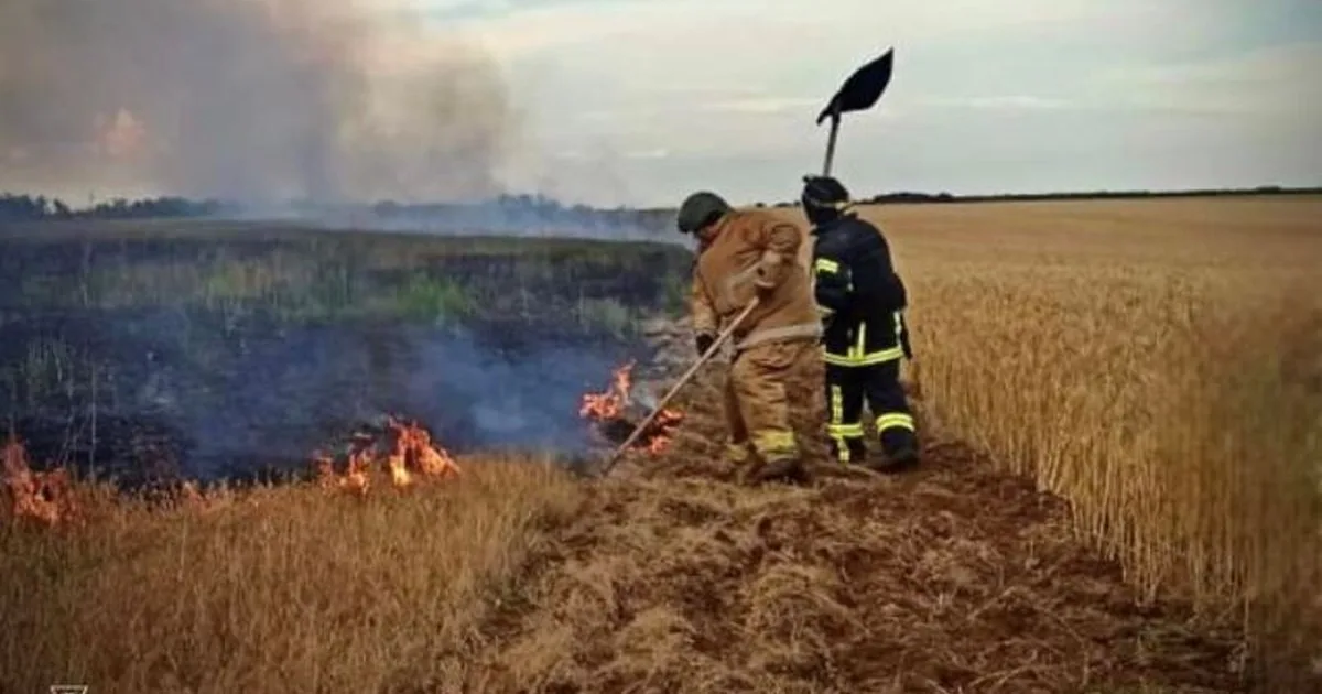 На Херсонщині після російського обстрілу ледве не загинув врожай на полі з пшеницею