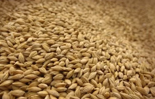 На ТОТ росія викрала понад 1700 тонн українського зерна та іншої агропродукції