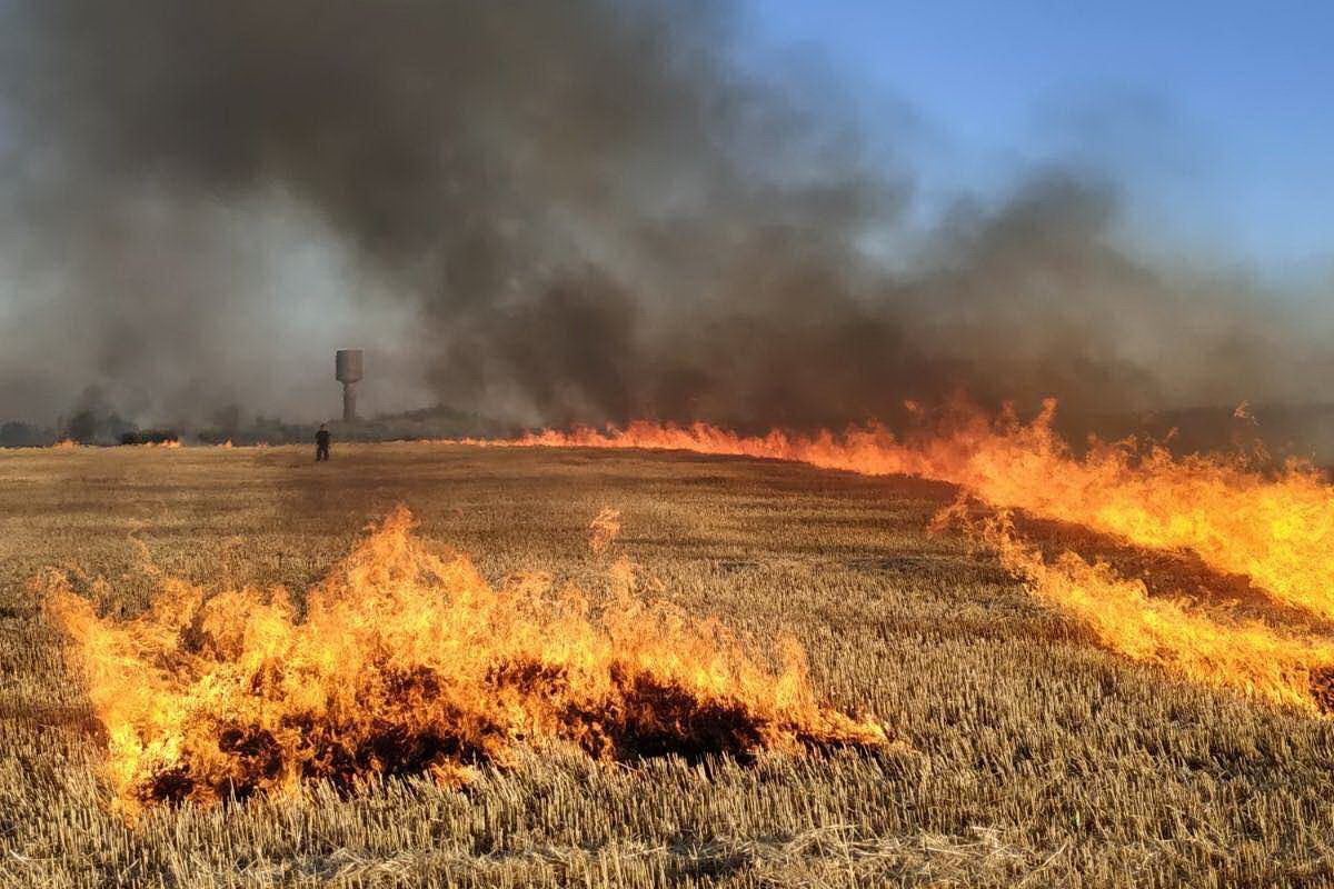 Росіяни вдарили по полю з пшеницею у Високопільській громаді на Херсонщині