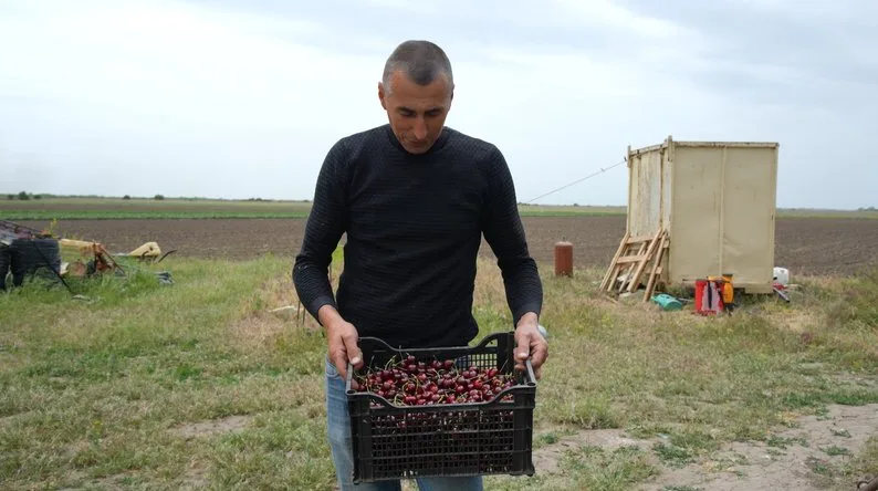 Під обстрілами вирощує черешню, персики та яблука: історія фермера з Херсонщини