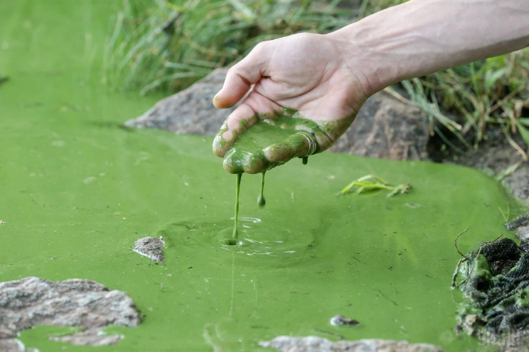 Окупанти визнали проблеми з водопостачанням на лівому березі Херсонської області