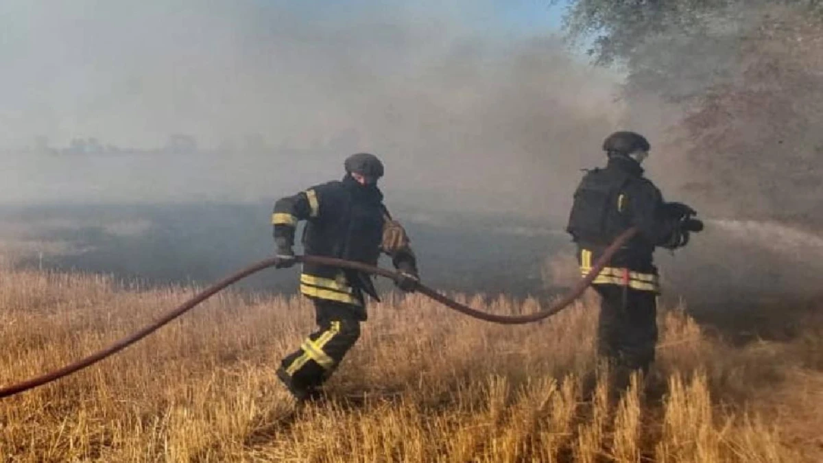 На Херсонщині ліквідували масштабні пожежі за межами двох сіл: вигоріло понад 2 гектари землі